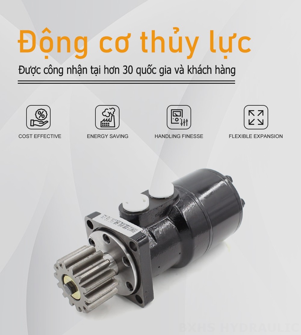 Mô-tơ thủy lực Cycloid BMR_2 63 cc/vòng 53 L/phút Mô tơ thủy lực